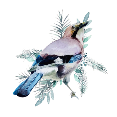 Mug LPO Geai des chênes