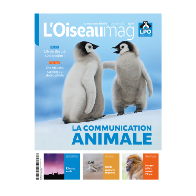 L'oiseau Mag n°152