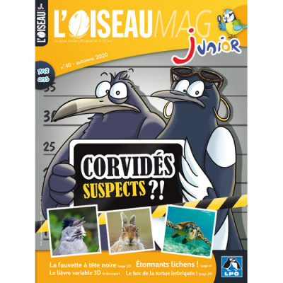 L'Oiseau Magazine Junior n°40