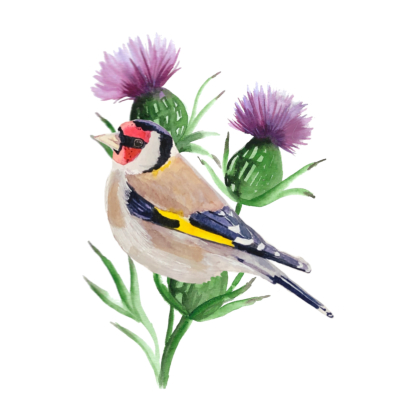 Mug LPO Chardonneret élégant