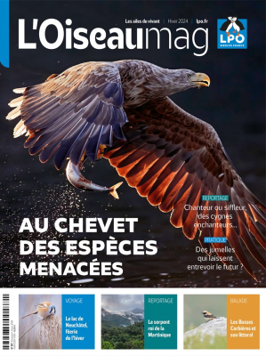 L'Oiseau Magazine N°157 - Hiver 2024