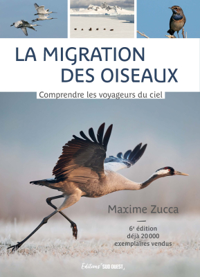 La migration des oiseaux - Nouvelle édition
