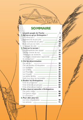 Les cahiers techniques - À la rencontre des sauterelles, criquets et grillons