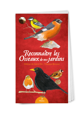 Reconnaître les Oiseaux de nos jardins