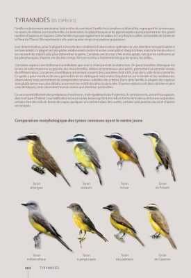 Guide expert des oiseaux de Guyane