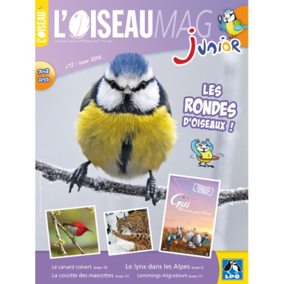 L'Oiseau Magazine Junior n°17