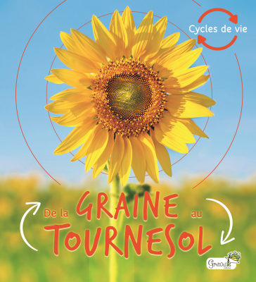De la graine au tournesol, tout savoir sur l'évolution de la vie