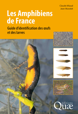 Les amphibiens de France - Guide d'identification des œufs et des larves