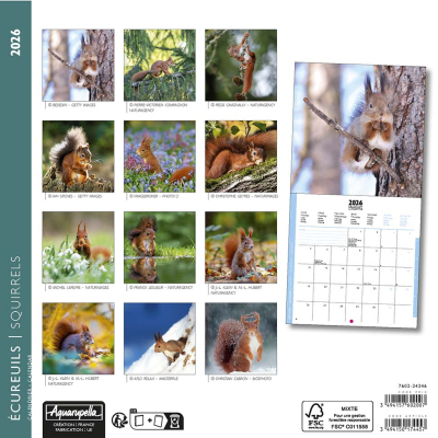 Calendrier 2026 Écureuils 16,5 x 16,5 cm