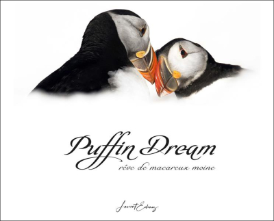 Puffin Dream