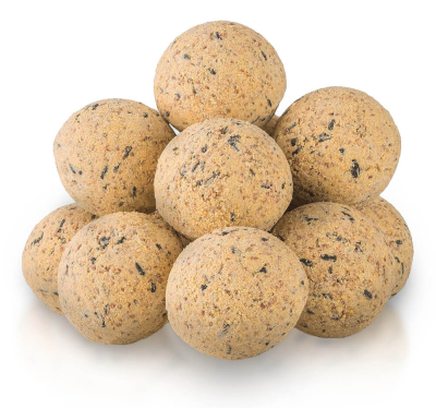 Lot de 10 boules de graisse aux insectes