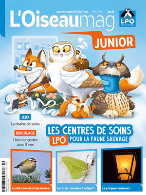 L'Oiseau Magazine Junior n°53 - Hiver 2023