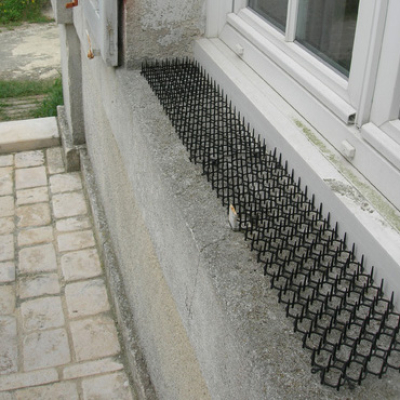 Grille Stop Chat