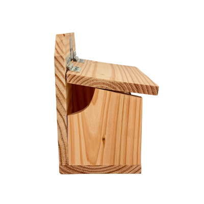 Mangeoire double LPO pour écureuils