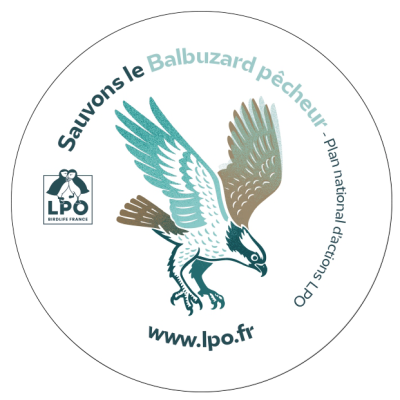 Autocollant LPO PNA - Sauvons le Balbuzard pêcheur