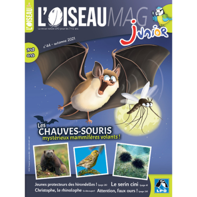 L'Oiseau Magazine Junior n°44