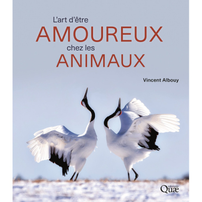 L’art d’être amoureux chez les animaux