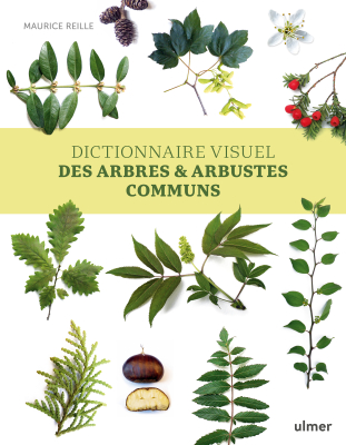 Dictionnaire visuel des arbres et arbustres communs