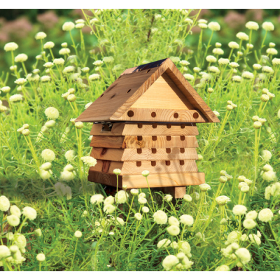 Ruche à abeilles interactive