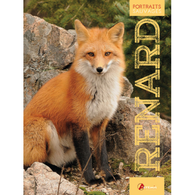 Renard, portraits sauvages