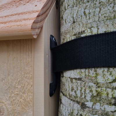 Sangle accroche nichoir