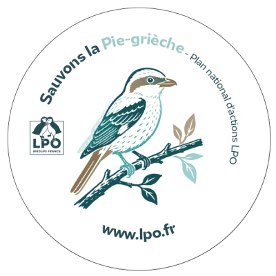 Autocollant LPO PNA - Sauvons la Pie-grièche