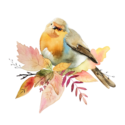 Mug LPO Rougegorge familier