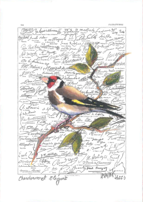 Carte postale collection d'art - Chardonneret élégant