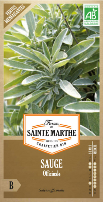 Graines Bio Sauge officinale