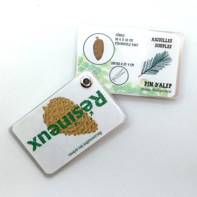 Guide de reconnaissance de la faune et de la flore - Les arbres