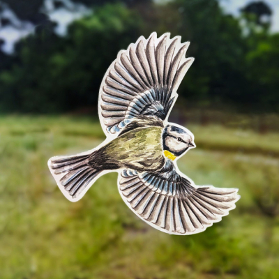 Anti-collisions électrostatiques Oiseaux des jardins - Lot de 4