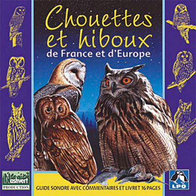 CD Chouettes et hiboux