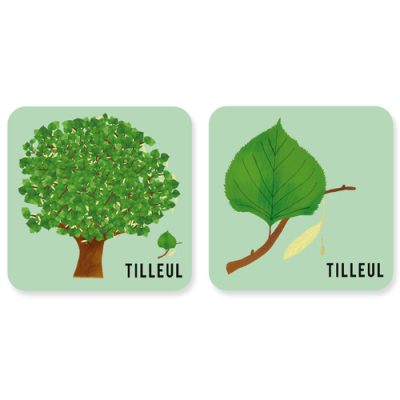 Mes mémos rigolos, l'arbre et sa feuille