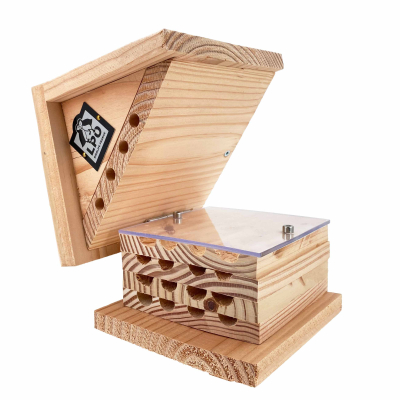 Ruche interactive LPO pour abeilles