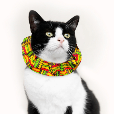 Collerette Birdsbesafe® Celtic Wind