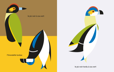 Oiseau + Oiseau, La mathématique des oiseaux