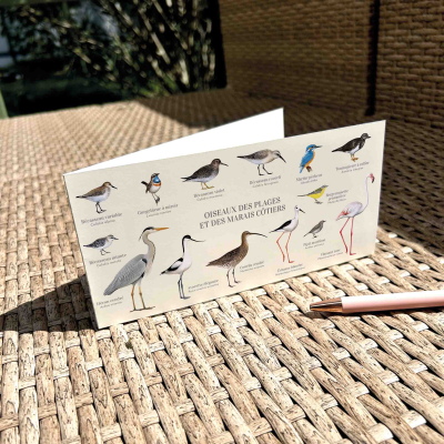 Carte Postale double 21 x 10 cm - Oiseaux des plages