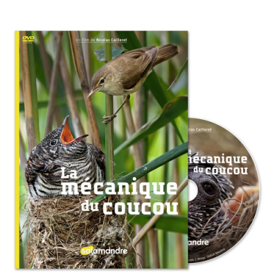 DVD La mécanique du coucou
