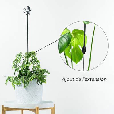 Tuteur de plante Couple d'hirondelles