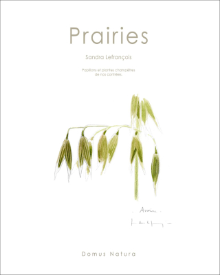 Prairies