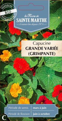 Graines Bio Capucine grande variée grimpante