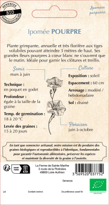 Graines Bio Ipomée Pourpre