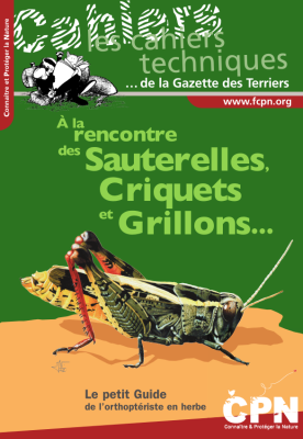 À la rencontre des sauterelles, criquets et grillons