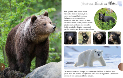 Tout un monde en photos : Les ours