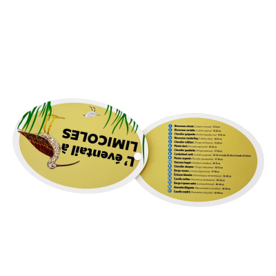 Éventail pédagogique LPO - Identifier les limicoles