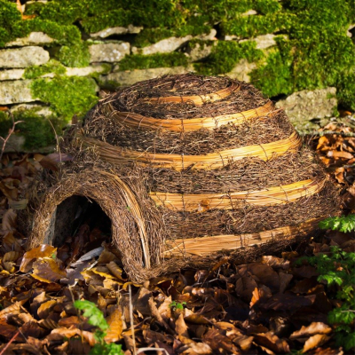 Gîte à hérisson Igloo