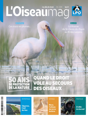 L'Oiseau Magazine N°163 - Été 2026