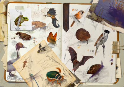 Puzzle Biotope Zones humides 1000 pièces