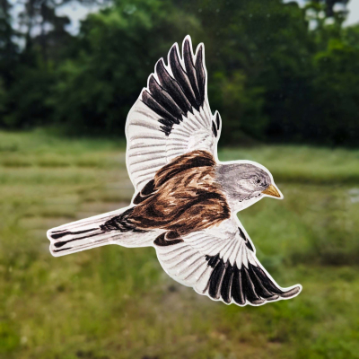 Anti-collisions électrostatiques Oiseaux des montagnes - Lot de 4