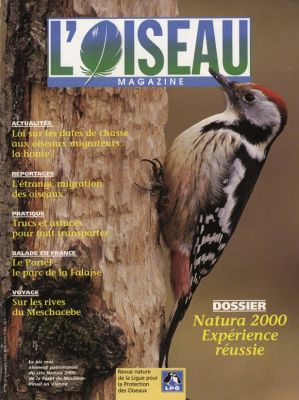 L'Oiseau Mag n° 52